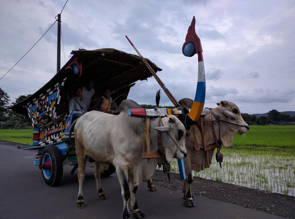 Joglo Ayem Tentrem Prambanan Buitenkant foto